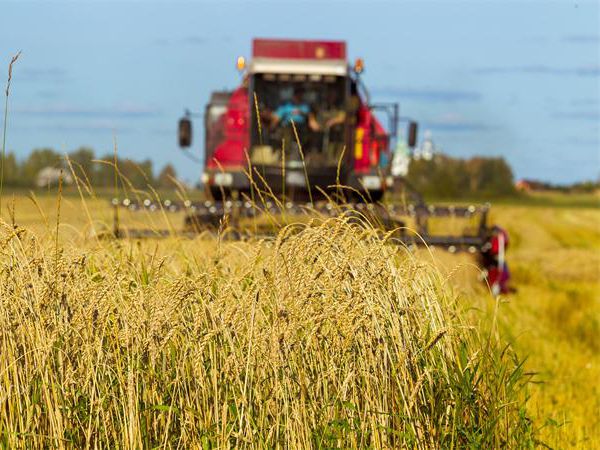 Produits hydrauliques pour la moissonneuse